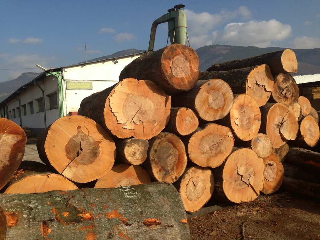 Вастон: Водещият български производител на букови изделия с над 20 години опит