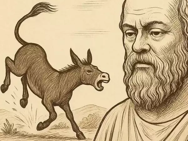 Когато магарето рита, мъдрият човек мълчи